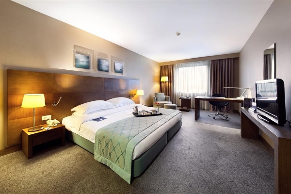 RADISSON BLU AIRPORT HOTEL IST